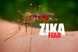 Bệnh do Virus Zika