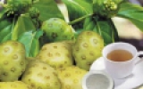 Chữa nhức đầu, đau nửa đầu do thay đổi thời tiết với cây nhàu