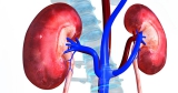 Một số lời khuyên dành cho người mắc bệnh thận